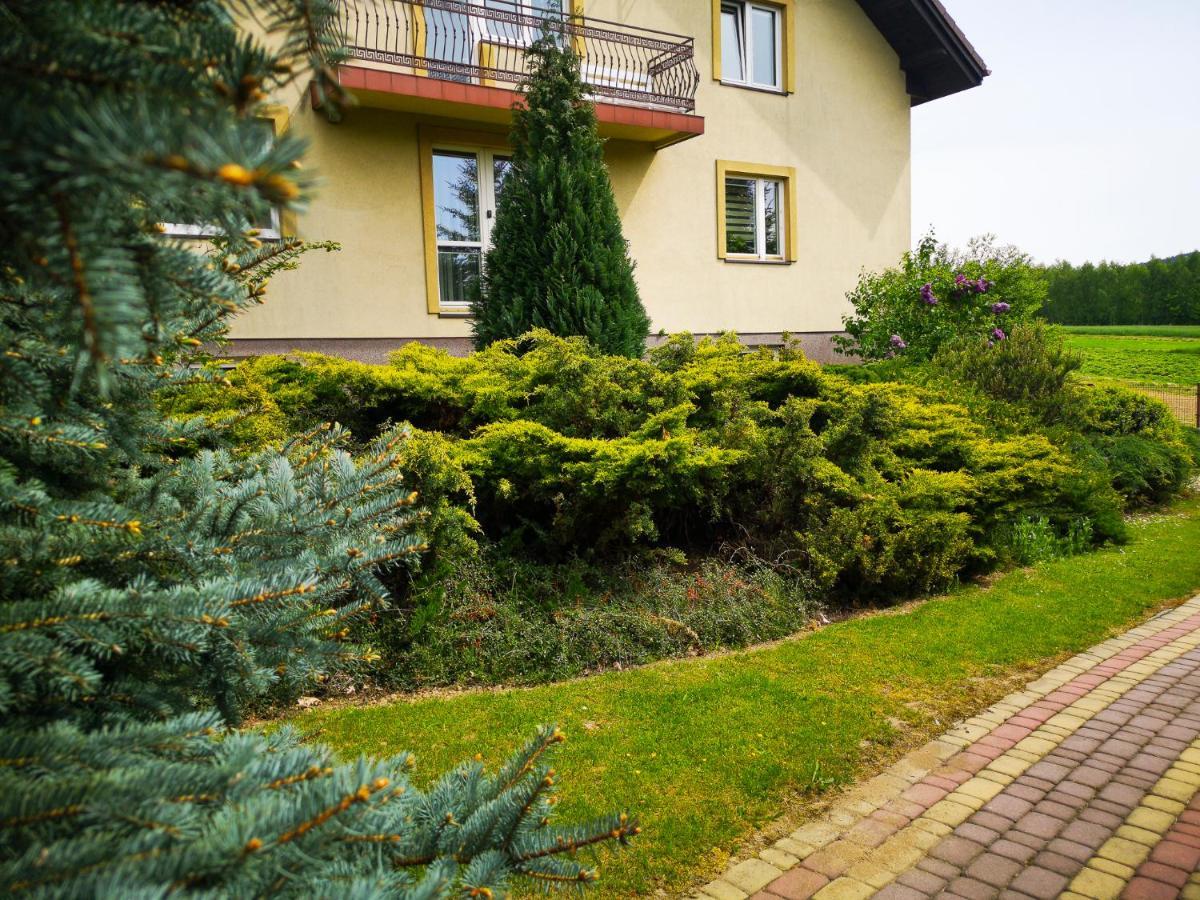 Swierkowy Zakatek Gorno  Luaran gambar